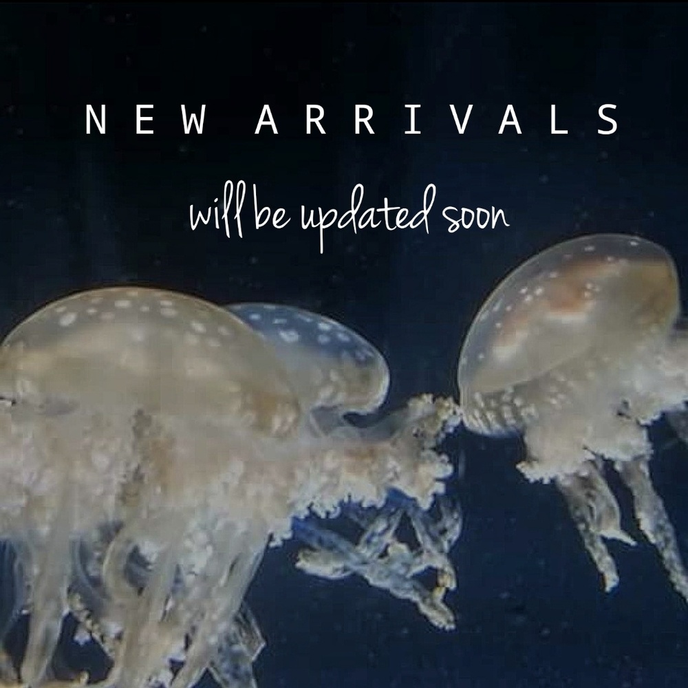 ||N E W  A R R I V A L S|| will be updated soon